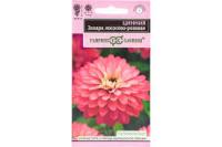 Цинния Захара лососево-розовая 5 шт