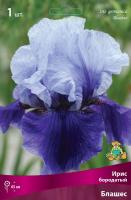 Ирис бородатый Блашес (I) 1 шт