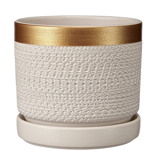 Собаки белый бук №1 0,8л