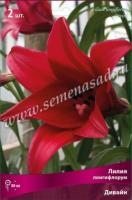 Лилия Лонгифлорум Дивайн