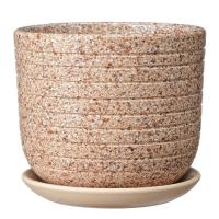 Пряности бежевый бук №1 0,8л