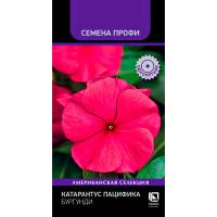 Катарантус Пацифика Бургунди 10шт