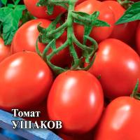 Гавриш Фермерская Томат Ушаков 5 гр