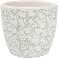 Маджента белый крокус кашпо 0,16л Маджента белый крокус кашпо 0,16л