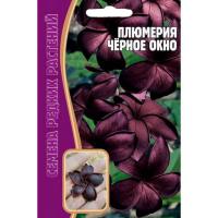 Плюмерия Черное Окно 3 шт