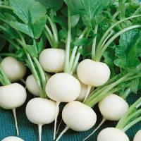 Дайкон Саша 10 г