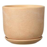 Замша бежевый бук №2 1,6л