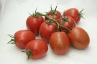 Томат Т-34 F1 5 шт