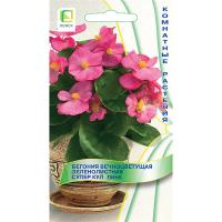Бегония вечноцветущая зеленолистная Супер Кул Пинк 10шт