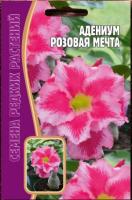 Адениум Розовая Мечта 3 шт