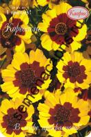 Кореопсис Летний ветерок однолетний 