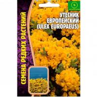 Редкие растения Утесник Европейский 30 шт 