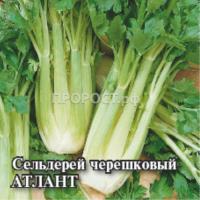 Сельдерей черешковый Атлант 5 г