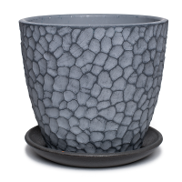 Манго серый бутон №3 2,3л Манго серый бутон №3 2,3л