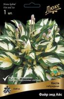 Хоста гибридная Файр энд Айс (I) 1 шт 