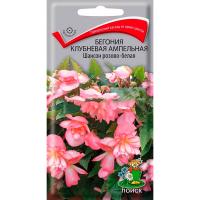 Поиск Комн. Бегония клубневая Шансон Розово-белая 10шт 