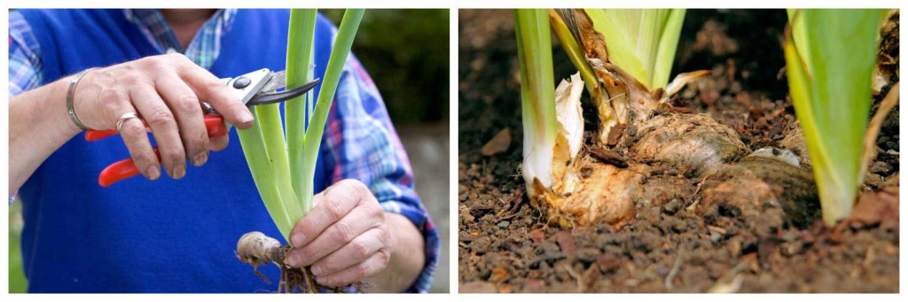 уход.jpg уход.jpg