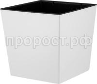 93b8254c2268afaed15d04790872d718 93b8254c2268afaed15d04790872d718