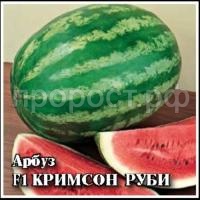 Арбуз Кримсон Руби F1 50шт Арбуз Кримсон Руби F1 50шт