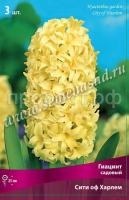 Гиацинт Сити ов Харлем