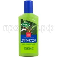 DS_250_fikusyi_2017_copy_750 DS_250_fikusyi_2017_copy_750