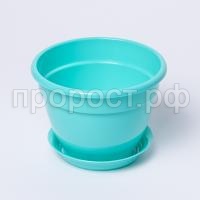 IMG_9316 IMG_9316