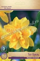 Нарцисс Тет Букль Нарцисс Тет Букль