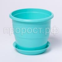 IMG_9486 IMG_9486