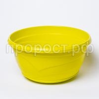 IMG_9380 IMG_9380