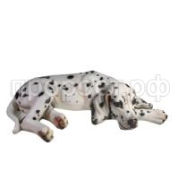 ральф долмат ральф долмат