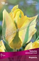 Тюльпан Зеленоцветный Формоза (жёлто-зелёный, 10шт, 11-12) 530870 Тюльпан Зеленоцветный Формоза (жёлто-зелёный, 10шт, 11-12) 530870
