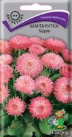 Маргаритка Мария Маргаритка Мария