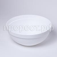 IMG_9304 IMG_9304