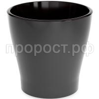 П209935 П209935