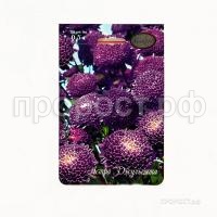 Астра Помпонная синяя Джульетта 200,5 Каприс