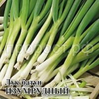 Лук Батун Изумрудный 10 г