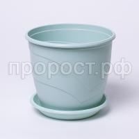 IMG_9500 IMG_9500