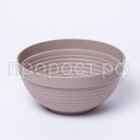 IMG_9290 IMG_9290