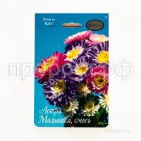 Астра смесь Малышка 200,5 Каприс Астра смесь Малышка 200,5 Каприс