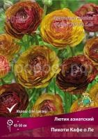 lutik_asia_picoti_kafe_o_le_kaper lutik_asia_picoti_kafe_o_le_kaper