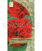 Примула махровая Розелла Ред 5шт Примула махровая Розелла Ред 5шт