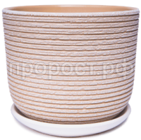 лоза беж бук лоза беж бук