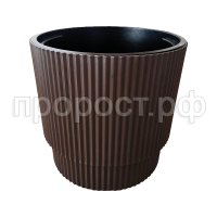 Жасмин 40шоколад Жасмин 40шоколад