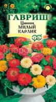цинния милый карлик111