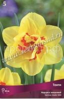 Нарцисс Таити Нарцисс Таити