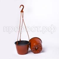IMG_8892 IMG_8892