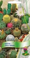 Кактус Смесь видов