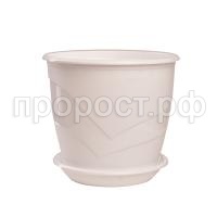 FOT_9701 FOT_9701