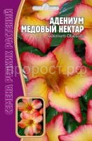 адениум медовый нектар