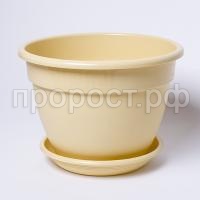 IMG_9481 IMG_9481